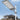 SOLAR LED STREET LIGHT